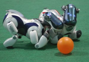 rUNSWift in a four-legged league game from RoboCup 2006 in Bremen, Germany.